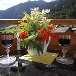 Karlspitze -natur Pur Appartementhaus Daire Kaunertal